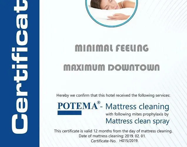 Maximum Downtown - Minimal Feeling * Budapesta